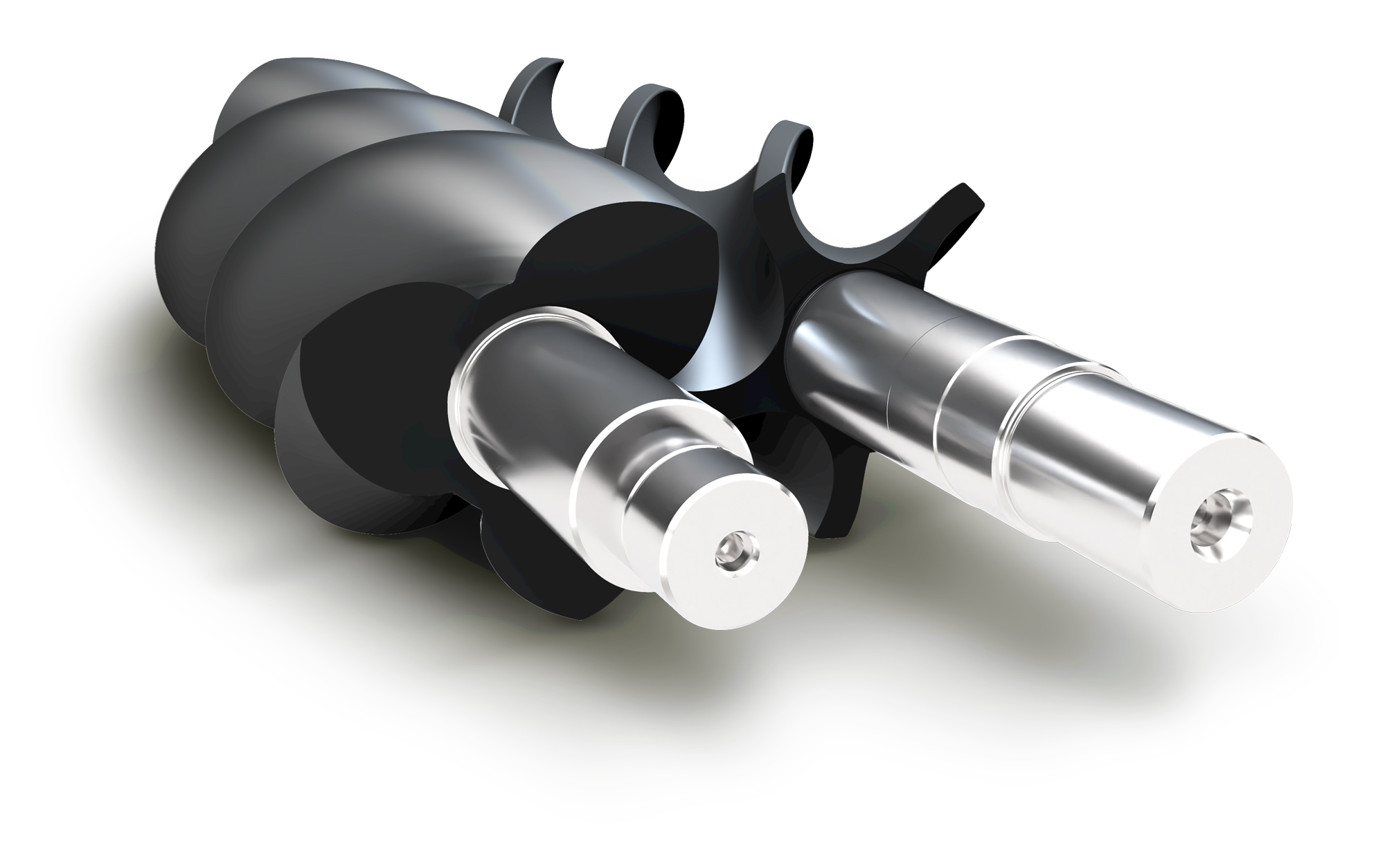 Screw Blower